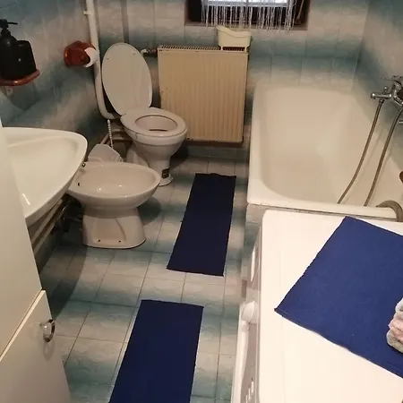 Zemunski Mir Holiday home *